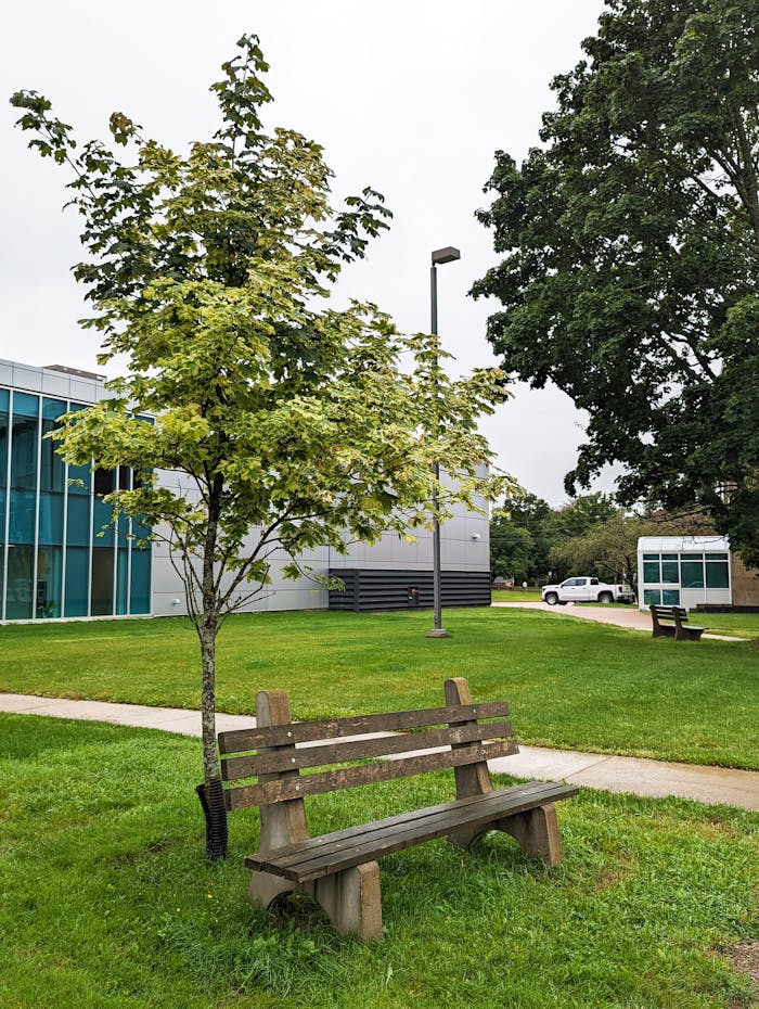 Home Peaceful park bench near modern campus building in Truro, Nova Scotia, surrounded by greenery.